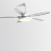60 Inch Ceiling Fan With Lights And Remote Control Nordic Ceiling Fan Lamp With Silent Inverter