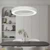 Round Ring Hanging Profile Light Suspended Office Led Pendant Light For Gyms
