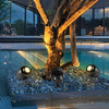 Round Tree Spot Lights Ha077575