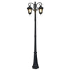 2 Lights Outdoor Pole Light Li002056