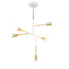 5 Lights Branch Electroplated Ceiling Lights Li002238