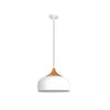 Dome Pendant Light With Wood Detail Modern 1 Light Island Fixture