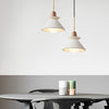 Creative White Pendant Lighting Ha076593