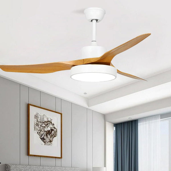 Lighting Ceiling Lights Ceiling Fans_4Huqc