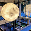 3D Planet Ball Pendant Lamp