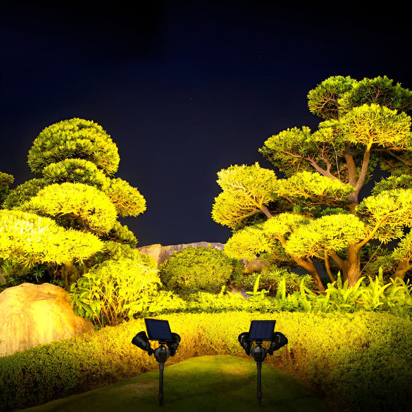 2 Lights Motion Sensor Solar Lawn Lights Li002294