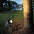 Round Tree Spot Lights Ha077575