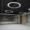 Round Ring Hanging Profile Light Suspended Office Led Pendant Light For Gyms
