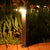 Waterproof Led Solar Powered Lawn Light Ha083342