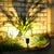 Waterproof Solar Led Adjustable Modern Outdoor Landscape Spot Light