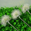 Flowers Decor Solar Lawn Light Ha080970