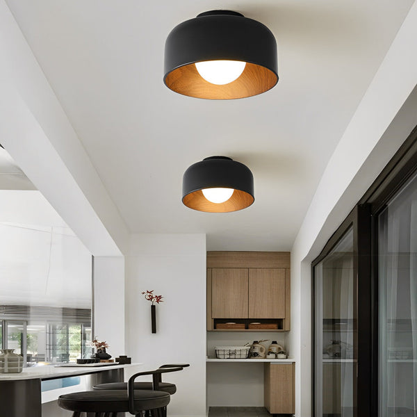 Bowl Shaped Led Ceiling Light Li002070