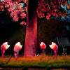 Eggshell Rgb Solar Outdoor Spotlight Ha085453