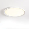 Acrylic Circular Led Ceiling Light