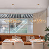 acrylic-ginkgo-leaf-chandelier