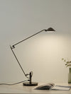 Adjustable Black Office Task Lamp