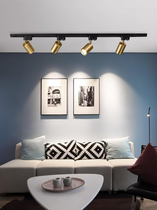 Adjustable Spotlight Track Ceiling Light