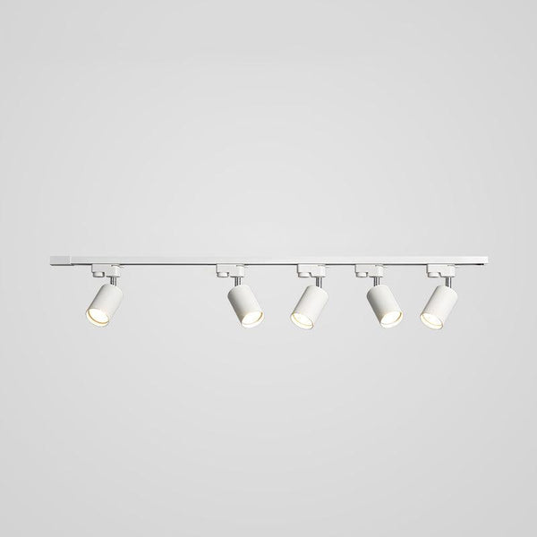 Adjustable Spotlight Track Ceiling Light