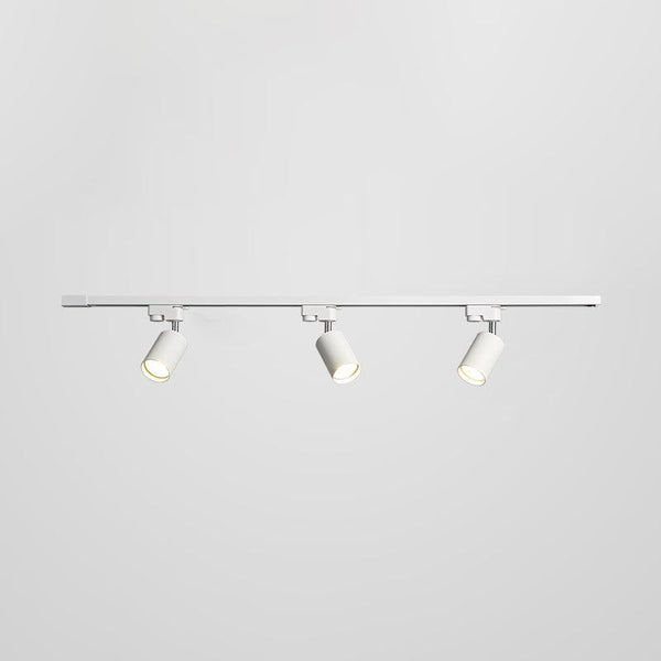 Adjustable Spotlight Track Ceiling Light