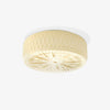 Adler Ceiling Light