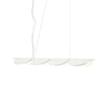 Almendra Organic Chandelier