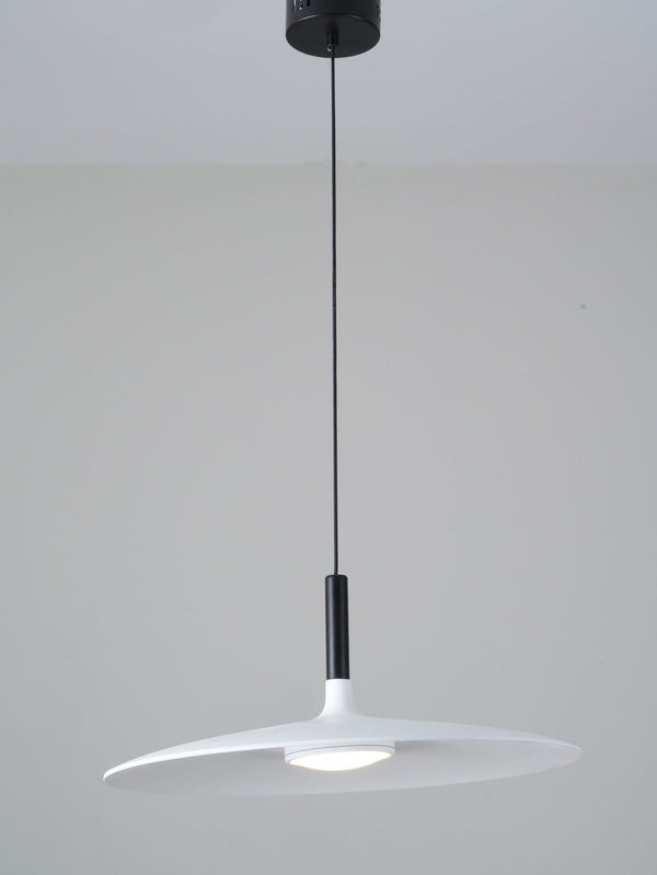 Aplomb Pendant light