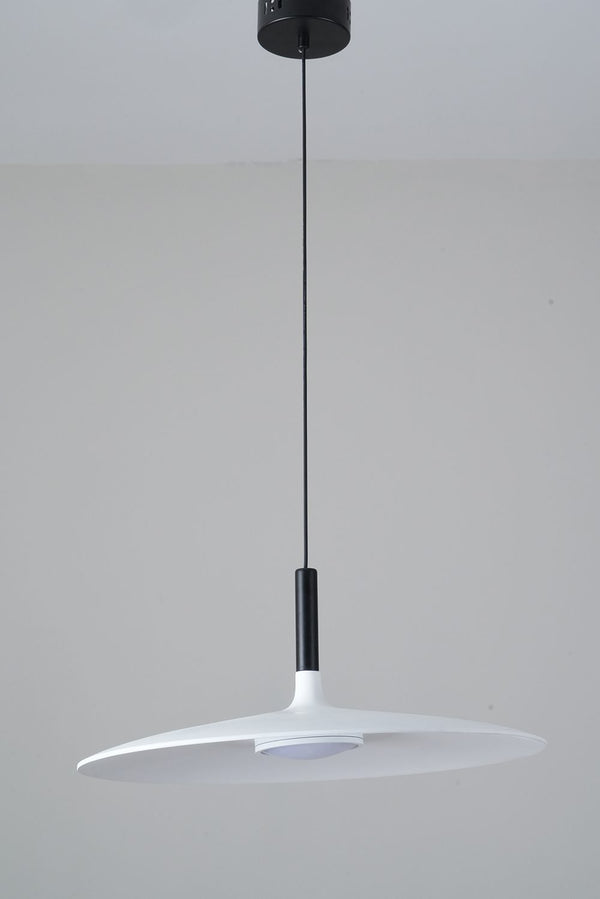 Aplomb Pendant light
