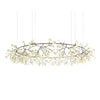 Black Firefly Led Chandelier