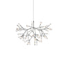 Black Firefly Led Chandelier