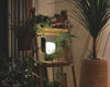 Blom Table Lamp