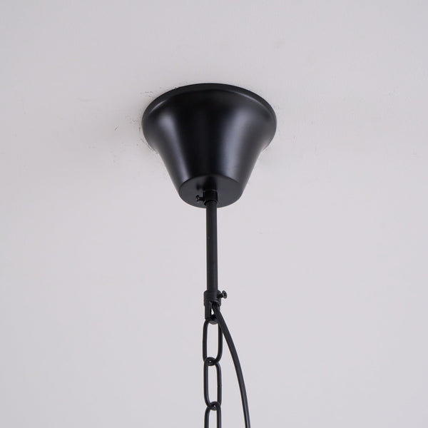 braeden-pendant-light