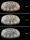 Butterfly Crystal Ceiling Light