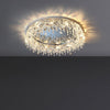 Butterfly Crystal Ceiling Light
