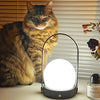 Carrie Built In Battery Table Lamp