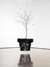 Charcoal Chandeliers
