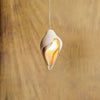 Conch Resin Pendant Lamp