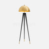 Coyote Floor Lamp