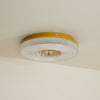 Ayla Led Flush Mount Ceiling Light
