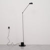 daphine-floor-lamp