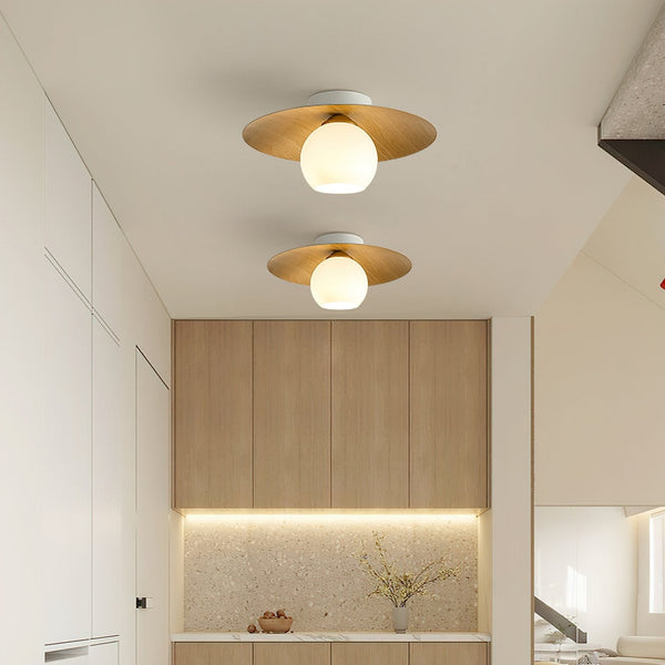 Dish