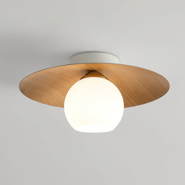 Dish