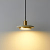 Double Circle Pendant Light