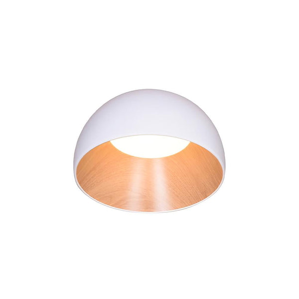duo-ceiling-lamp
