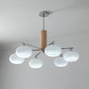 Elliptical Persimmon Chandelier