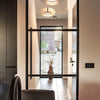 Eye In The Sky Pendant Light