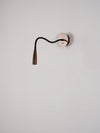 Flexi Hose Wall Light