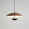 Frisbee Pendant Lamp