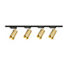 Gilded Rail Track Light