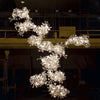 Gingko Combination Chandelier