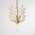 grace-crystal-chandelier